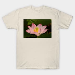 Pink lotus flower T-Shirt